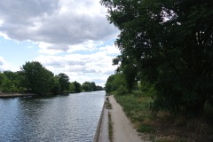 Hundewiese-an-der-Forsthausallee-5