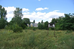 Hundewiese-an-der-Forsthausallee-6