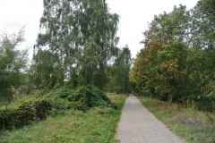 Karower-Teiche-1