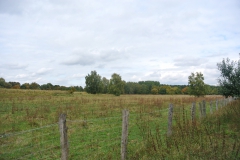 Karower-Teiche-10