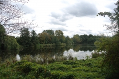 Karower-Teiche-3