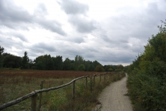 Karower-Teiche-5