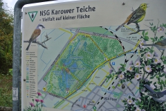 Karower-Teiche-6