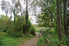 Karower-Teiche-7