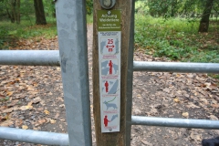 Karower-Teiche-8