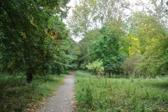 Karower-Teiche-9