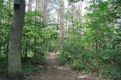Königsheide-WalkYourDog-3