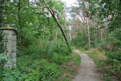 Königsheide-WalkYourDog-8