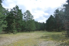 Koepenicker-Forst-04