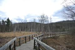 Koepenicker-Forst-08
