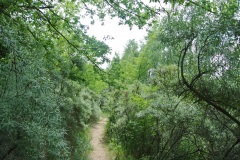 Landschaftsschutzgebiet-Blankenfelde-3