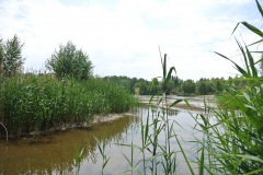 Landschaftsschutzgebiet-Blankenfelde-4