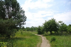 Landschaftsschutzgebiet-Blankenfelde-5