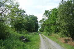 Landschaftsschutzgebiet-Blankenfelde-6