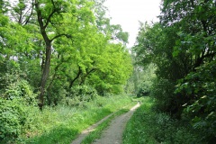 Landschaftsschutzgebiet-Blankenfelde-8