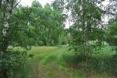 Landschaftsschutzgebiet-Blankenfelde-9