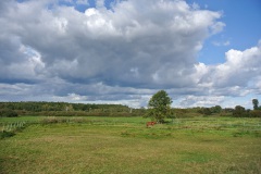 Luebarser-Felder-WalkYourDog-4