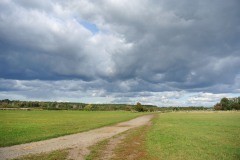 Luebarser-Felder-WalkYourDog-5