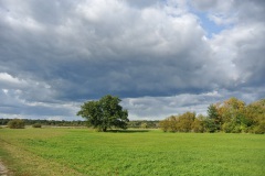 Luebarser-Felder-WalkYourDog-6