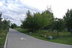 Mauerpark-WalkYourDog-1
