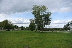 Mauerpark-WalkYourDog-9