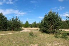 Mittelheide-WalkYourDog6