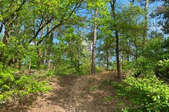 Mittelheide-WalkYourDog8