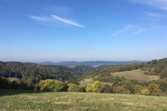 1_Scharbach_Odenwald_Walkyourdog4
