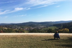 1_Scharbach_Odenwald_Walkyourdog5