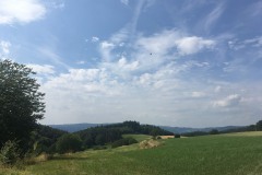 1_Scharbach_Odenwald_Walkyourdog7