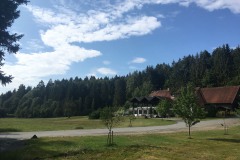 1_Scharbach_Odenwald_Walkyourdog9