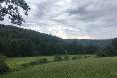 1_Scharbach_Odenwald_Walkyourdog91