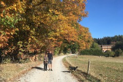 Scharbach_Odenwald_Walkyourdog3