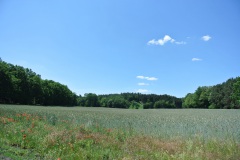 Oderlandweg-11