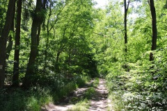 Oderlandweg-12