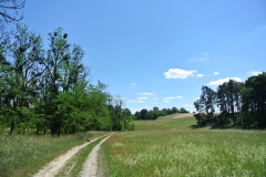Oderlandweg-13