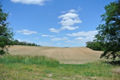 Oderlandweg-14