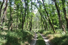 Oderlandweg-15