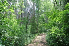 Oderlandweg-2