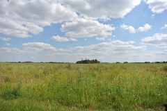 Oderlandweg-5