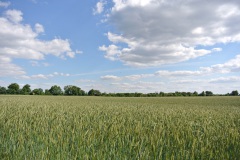 Oderlandweg-6