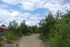 Park-am-Gleisdreieck-WalkYourDog-1