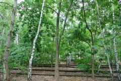 Park-am-Gleisdreieck-WalkYourDog-2