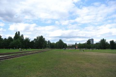 Park-am-Gleisdreieck-WalkYourDog-5
