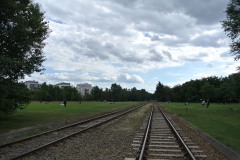 Park-am-Gleisdreieck-WalkYourDog-6