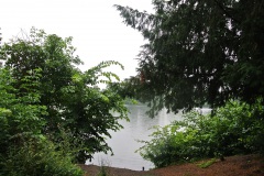 Park-am-Schaefersee-WalkYourDog-2