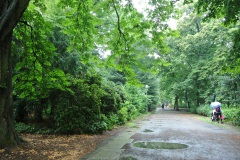 Park-am-Schaefersee-WalkYourDog-4