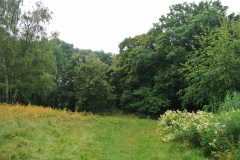 Park-am-Schaefersee-WalkYourDog-5