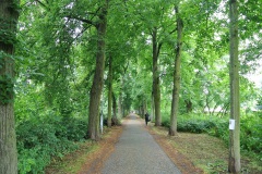 Park-am-Schaefersee-WalkYourDog-7