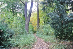 Plänterwald-WalkYourDog-1